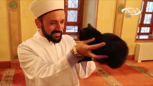 Зачем имаму 10 кошек?