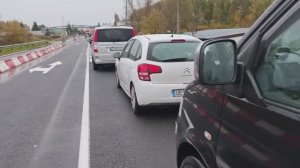 Из России в Германию, шокирующий случай на границе, животные соскучились