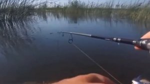 Видео от За Трофеем: Охота и Рыбалка