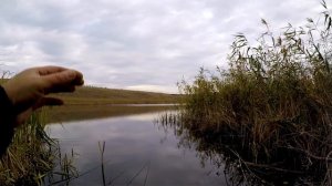 осенняя рыбалка с корабликом 2025