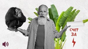 Экономить не сложно