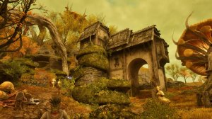 The Elder Scrolls IV: Oblivion Remastered - 181 серия - Порция акванострума