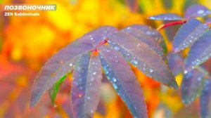 ИСЦЕЛЕНИЕ ПОЗВОНОЧНИКА*НОВЫЙ Саблиминал*Скрытые Аффирмации