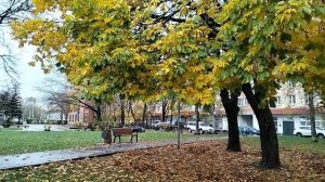 Осень в Москве #осень #красотавокруг #люблюосень