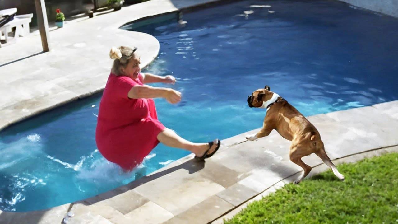 КОГДА ХОТЕЛ ПУШИСТОГО ДРУГА, А ПОЛУЧИЛ КАТАСТРОФУ!