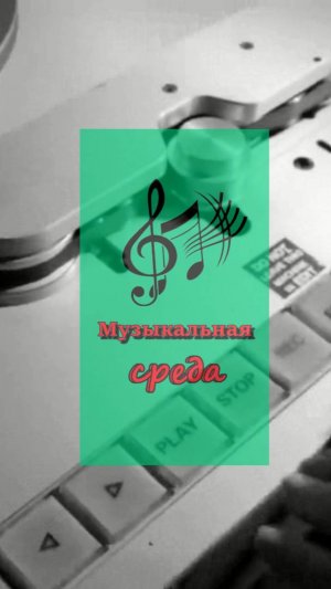 MIRAVI, Merab Amzoevi - Шум Берёз #музыка #моя_музыка #dzurilla24 #клипы #лучшее #музыкальная_среда