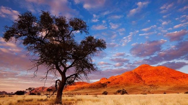 Традиции коренных жителей