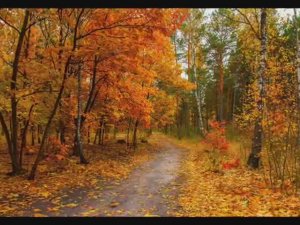 Не жалею. не зову. не плачу