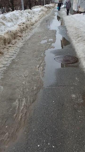 №263. ул. Белинского. 14 марта 2025 г., 14:31:26. VID_20250314_142849756