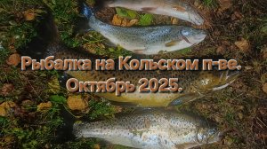 Рыбалка на Кольском п-ве. Октябрь 2025.