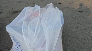 ОТПРАВКА ЗАКАЗНОГО ТРАКТОРА ТК ЖЕЛДОРЭКСПЕДИЦИЯ В Г. САНКТ-ПЕТЕРБУРГ