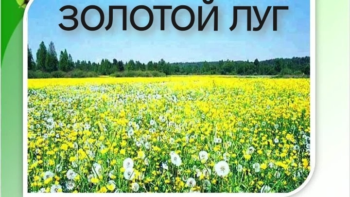 Золотой Луг(аудиосказка) смотреть онлайн