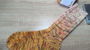 Носки "Тыковка" СП "Носочный блюз осени" 2025 Отчёт Октябрь