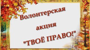 Волонтерская акция Твоё право