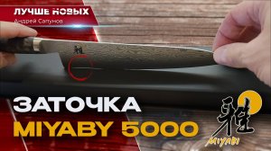 Заточить СУПЕР японский нож. Проблемы Miyabi Black 5000MCD 67
