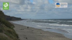 Занятия с особыми детьми в Королевском бору