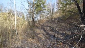 Бродилки от Бродислава 286