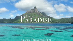 Райские тропики. Видео с дрона.