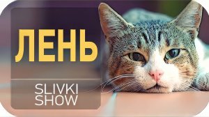 Что такое лень? [SLIVKI SHOW]