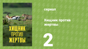 Хищник против жертвы 1 сезон 2 серия «Гепард» (документальный сериал, 2024)