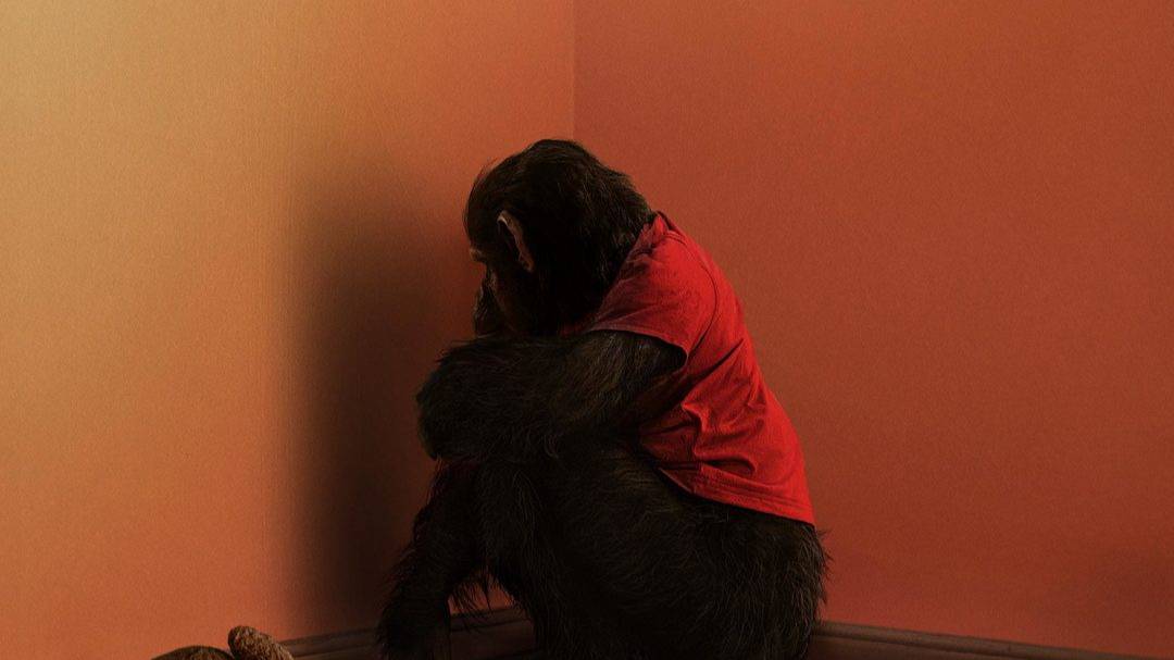 ПРИМАТ 2026 смотреть онлайн