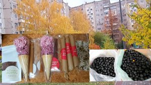 Запасы вкусняшек на пост))) Доставка еды. Реанимирую гриб. Двойной привет))))))
