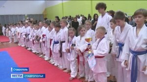 Юные каратисты со всей России состязались в Ставрополе