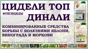 Цидели и Динали - комбинированные средства борьбы с болезнями яблони,винограда и моркови. Обзор