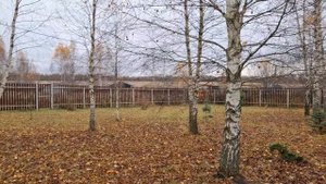 Уезжаем. Бегу с обзором по саду. Планирую осенние дела. Салфетки