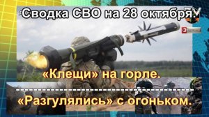 Сводка СВО на 28 октября. «Штурма» ВС РФ отобрали у Зеленского весь кокс