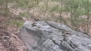 7. Гора Теплая (728 метров). 6 октября 2025 года.