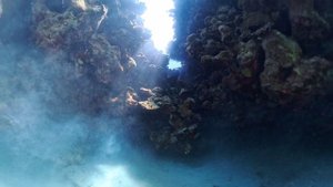 ВСЁ ВИДЕО Renaissance Sharm El Sheikh Golden View Beach Resort 5*