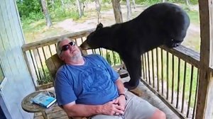 ДИКИЕ ЖИВОТНЫЕ, КОТОРЫЕ ЗАБЫЛИ, ЧТО ОНИ ДИКИЕ