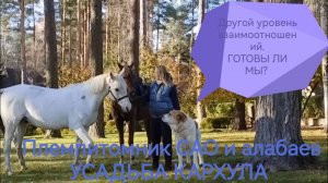 Другой уровень взаимоотношений и воспитания животных. Готовы ли мы?