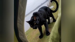 Рыбалка на р.Волга в Дубне