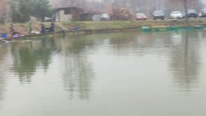 WhatsApp Video 2025-10-28 at 11.28.45 (1)