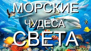 Жизнь и удивительные приключения обитателей морей!!!