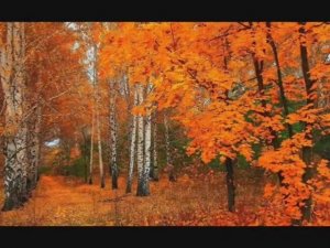 Отговорила роща золотая