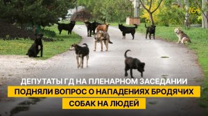 Депутаты ГД на пленарном заседании подняли вопрос о нападениях бродячих собак на людей
