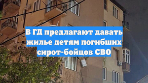 В ГД предлагают давать жилье детям погибших сирот-бойцов СВО