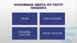 Комарова 2 4