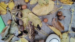 25.10.25/самый обычный день