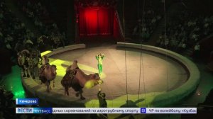 Цирк зажигает огни