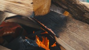 Мясо на огне. Деревенские житейские дела