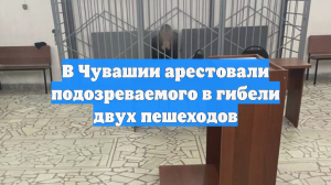 В Чувашии арестовали подозреваемого в гибели двух пешеходов