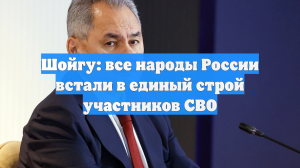 Шойгу: все народы России встали в единый строй участников СВО