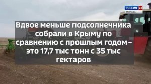 #КрымВЦифрах: Выпуск 28.10.2025