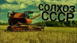 Сбор урожая в СССР