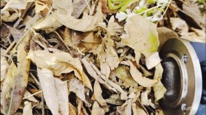 Кардан Белкард Нива короткий