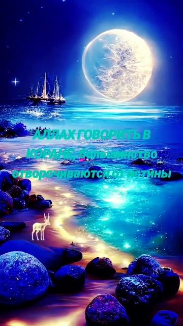 Аллах (С.С.) говорить в Коране, что большинство из людей отворачиваются от истины.